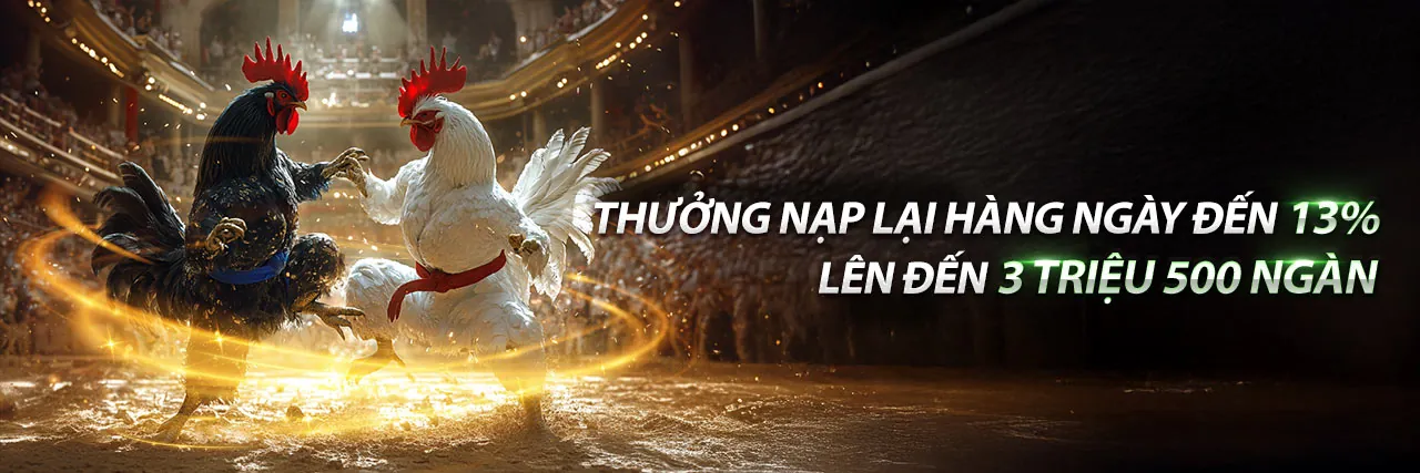 Hình ảnh quảng cáo khuyến mãi độc quyền qh8888 code tại QH8888
